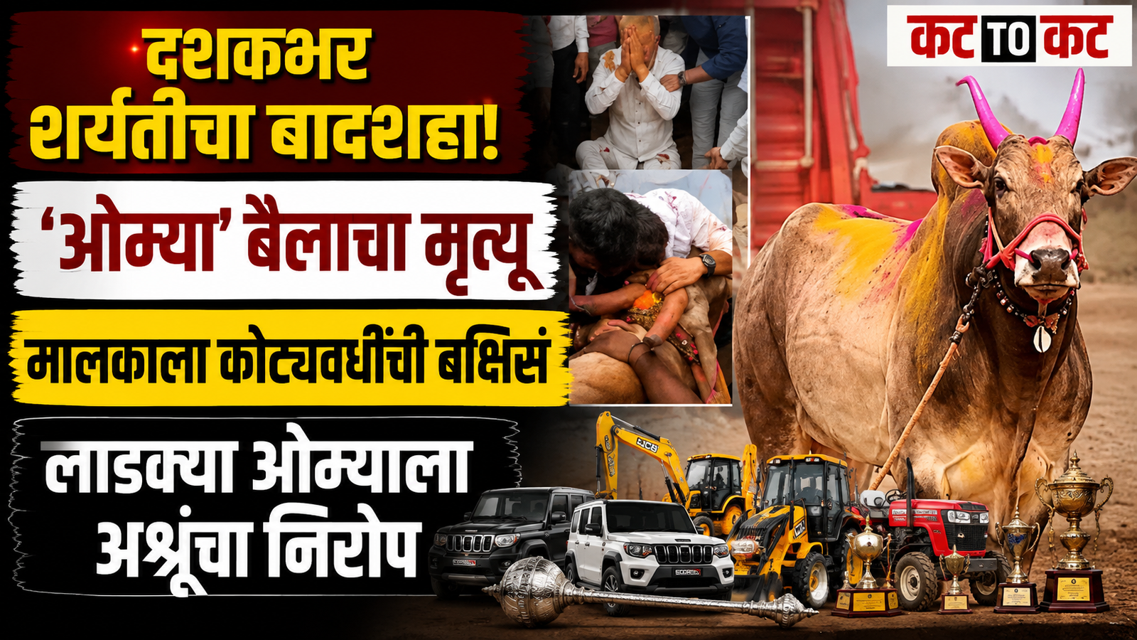 Omya bull, a decade-long bullock cart racing champion from Maval in Pune district, dies suddenly, leaving owner Ramnath Warange in grief