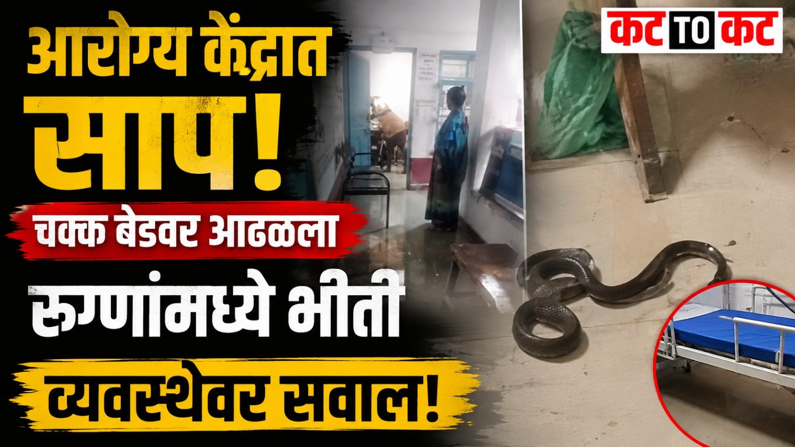 Snake found in the bed of a staff room at Bazar Bhogav Primary Health Centre in Panhala, Kolhapur, raising concerns over safety and basic facilities.